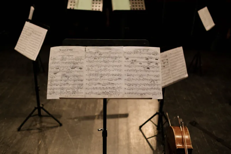 The Orchestra in the Empty Room: What It Costs to Compose for a Director Who May Never Press Play